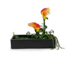 Wholesaleglassvasesint -Wholesaleglassvasesint CBR1693BK C1 55177.1683843797