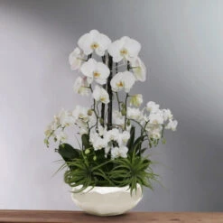 CGB2104WT - White Geometric Bowl - 9.25" W X 3.75" H -Wholesaleglassvasesint CGB2104WT C3 79218.1695682374