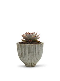 CUB8506WT - Large Fancy White Acorn Ceramic Vase - 6.5" H -Wholesaleglassvasesint CUB8506WT C1 65658.1695830033