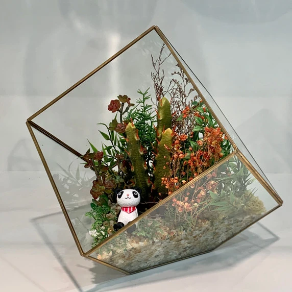 GET0408GD - Big Gold Tilted Cube Geometric Glass Terrarium - 12" 5 GET0408GD - Big Gold Tilted Cube Geometric Glass Terrarium - 12" - Image 3
