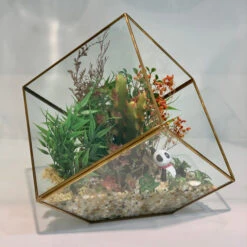 GET0408GD - Big Gold Tilted Cube Geometric Glass Terrarium - 12" 9 GET0408GD - Big Gold Tilted Cube Geometric Glass Terrarium - 12" -Wholesaleglassvasesint GET0408GD C2 87471 84468 81313.1657123847