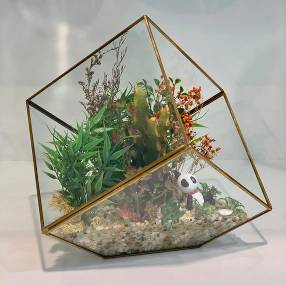 GET0408GD - Big Gold Tilted Cube Geometric Glass Terrarium - 12" 6 GET0408GD - Big Gold Tilted Cube Geometric Glass Terrarium - 12" - Image 4