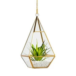 GET0610GD - Gold Raised Pyramid Geometric Terrarium - 9.5" -Wholesaleglassvasesint GET0610GD C1 07204.1663941729