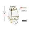 GET2006GD - Short Triangular Gold Obelisk Geometric Glass Terrarium 6"H - -Wholesaleglassvasesint GET2006GD B1 53882 33875 94556.1657123872