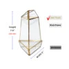 GET2008GD - Triangular Gold Obelisk Geometric Glass Terrarium 8"H - -Wholesaleglassvasesint GET2008GD B1 36364 09678 95040.1657123876
