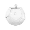 GET8003 - Dodecahedron Frameless Geometric Glass Terrarium - 4.72" H -Wholesaleglassvasesint GET8003 A1 98728 54852 65544.1657123879