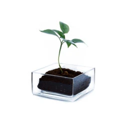 VBV0804 - Square Glass Block Vase - 8" X 4" -Wholesaleglassvasesint VBV0804 C2 11713.1686761325