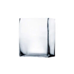 Wholesaleglassvasesint -Wholesaleglassvasesint VBV2506 A1 01260 29200 43365.1657129916