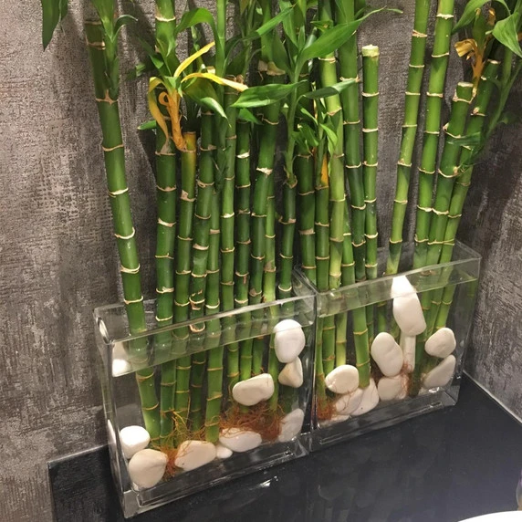 VBV2810 - Rectangular Glass Block Vase - 2" X 8" X 10" 8 VBV2810 - Rectangular Glass Block Vase - 2" X 8" X 10" - Image 6