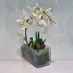 VBV4408 - Rectangular Glass Planter Box Vase - 4" X 4" X 8" -Wholesaleglassvasesint VBV4408 C1 33480 02529 09780.1665701275