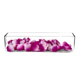 VBV4416 - Rectangular Glass Planter Box Vase - 4" X 4" X 16" -Wholesaleglassvasesint VBV4416 C1 49779.1669058554