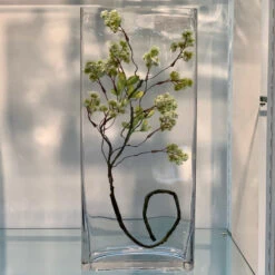 VBV8318 - Rectangular Glass Block Vase - 8" X 3" X 18" 8 VBV8318 - Rectangular Glass Block Vase - 8" X 3" X 18" -Wholesaleglassvasesint VBV8318 C1 41379 62072 65592.1669059942