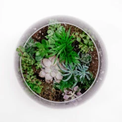 VBW0010 - Clear Bubble Bowl Glass Vase - 10" 15 VBW0010 - Clear Bubble Bowl Glass Vase - 10" -Wholesaleglassvasesint VBW0010 C1 12757.1664556854