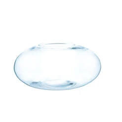 VBW1506 - Clear Flat Oval Garden Bowl Vase - 12" X 6"