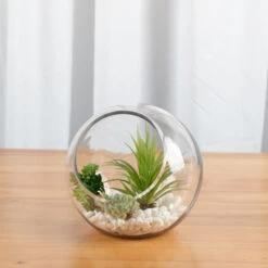 VBW6108 - Slant Bubble Bowl Vase - 8" -Wholesaleglassvasesint VBW6108 C2 74003.1692392085