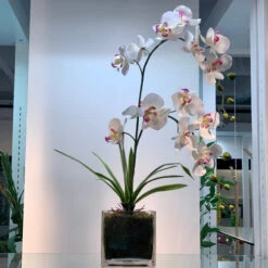 VCB0005 - Handblown Clear Cube Glass Vase / Candle Holder - 5" 11 VCB0005 - Handblown Clear Cube Glass Vase / Candle Holder - 5" -Wholesaleglassvasesint VCB0005 C1 AS 20350.1692212569