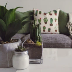 VCB0005 - Handblown Clear Cube Glass Vase / Candle Holder - 5" 10 VCB0005 - Handblown Clear Cube Glass Vase / Candle Holder - 5" -Wholesaleglassvasesint VCB0005 C1 22928.1692212569