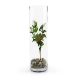 VCY0414 - Cylinder Glass Vase - 4" X 14" 11 VCY0414 - Cylinder Glass Vase - 4" X 14" -Wholesaleglassvasesint VCY0414 C1 13302 67628 26666.1657124793