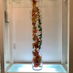 VCY0747 - Cylinder Glass Vase - 7" X 47" 7 VCY0747 - Cylinder Glass Vase - 7" X 47" -Wholesaleglassvasesint VCY0747 C1 76907 85945 56554.1666737985