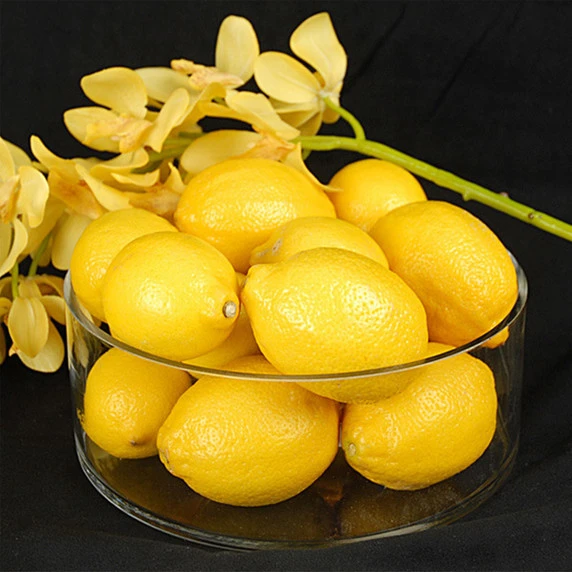 VCY0804 - Cylinder Glass Vase - 8" X 4" 7 VCY0804 - Cylinder Glass Vase - 8" X 4" - Image 5