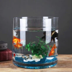 VCY0808 - Cylinder Glass Vase - 8" X 8" 12 VCY0808 - Cylinder Glass Vase - 8" X 8" -Wholesaleglassvasesint VCY0808 C2 31309 79173 82883.1691421219