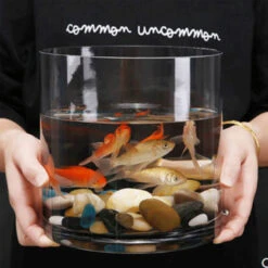 VCY0808 - Cylinder Glass Vase - 8" X 8" 11 VCY0808 - Cylinder Glass Vase - 8" X 8" -Wholesaleglassvasesint VCY0808 C3 96170 69052 55024.1691421219