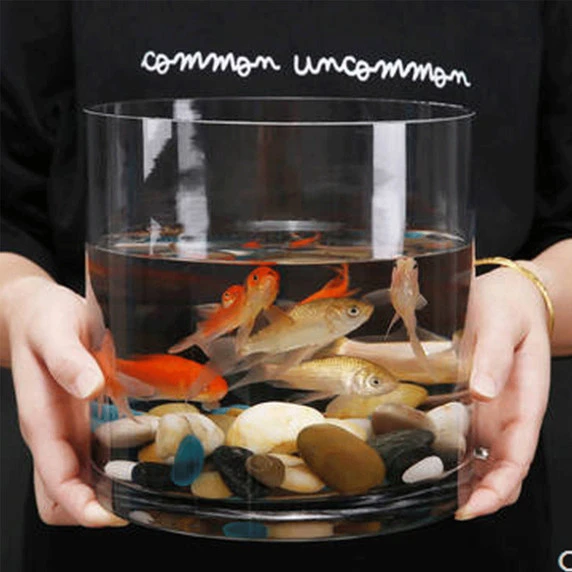 VCY0808 - Cylinder Glass Vase - 8" X 8" 6 VCY0808 - Cylinder Glass Vase - 8" X 8" - Image 4