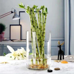 VCY0812 - Cylinder Glass Vase - 8" X 12" 12 VCY0812 - Cylinder Glass Vase - 8" X 12" -Wholesaleglassvasesint VCY0812 C2 06743 82539 06303.1688423546