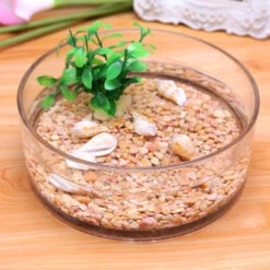 VCY1004 - Clear Cylinder Glass Vase - 10" X 4" 11 VCY1004 - Clear Cylinder Glass Vase - 10" X 4" -Wholesaleglassvasesint VCY1004 C1 34389 92844 68829.1669058638