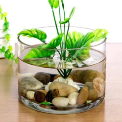 VCY1008 - Clear Cylinder Glass Vase - 10" X 8" 12 VCY1008 - Clear Cylinder Glass Vase - 10" X 8" -Wholesaleglassvasesint VCY1008 C3 85369 32076 63192.1657127336