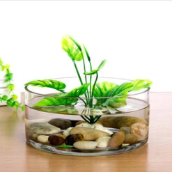 VCY1204 - Clear Cylinder Glass Vase - 12" X 4" -Wholesaleglassvasesint VCY1204 C4 77944 23599 57908.1678126767