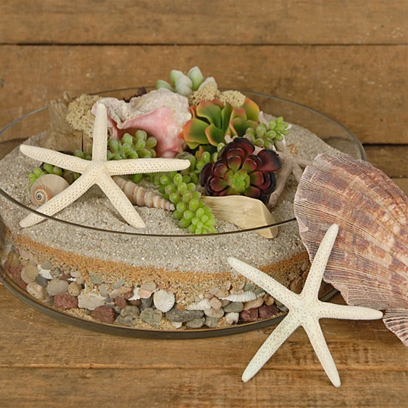 VCY1504 - Large Wide Pan Cylinder Glass Vase - 15" X 4" (1 Pc) 8 VCY1504 - Large Wide Pan Cylinder Glass Vase - 15" X 4" (1 Pc) - Image 6