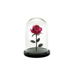VDM1116WB - Medium Glass Dome Cloche With Black Wood Base - 16" -Wholesaleglassvasesint VDM1116WB C1 93456.1693255160