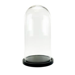 VDM1121WB - Large Glass Dome Cloche With Black Wood Base - 21"