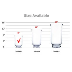 VHV0808 - Small Hurricane Glass Vase - 8" 11 VHV0808 - Small Hurricane Glass Vase - 8" -Wholesaleglassvasesint VHV0808 B2 81615 98042 00811.1692662087