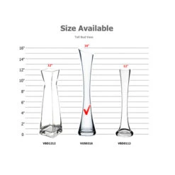 VUS0316 - Large Clear Concaved Bud Vase With Slant Cut Top - 16" -Wholesaleglassvasesint VUS0316 B2 17566.1692655190