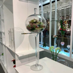 VWV1128 - Stemmed Apothecary Jar / Lollipop Vase - 28" 16 VWV1128 - Stemmed Apothecary Jar / Lollipop Vase - 28" -Wholesaleglassvasesint VWV1128 C2 65127 30939 10634.1693000456