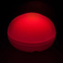 LED11RD - Round LED - Red 5 LED11RD - Round LED - Red -Wholesaleglassvasesint lg item 6312 1 27920 98759 63040.1657123945