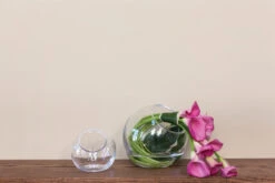 VBW6108 - Slant Bubble Bowl Vase - 8" -Wholesaleglassvasesint studio 2 57414.1692392084